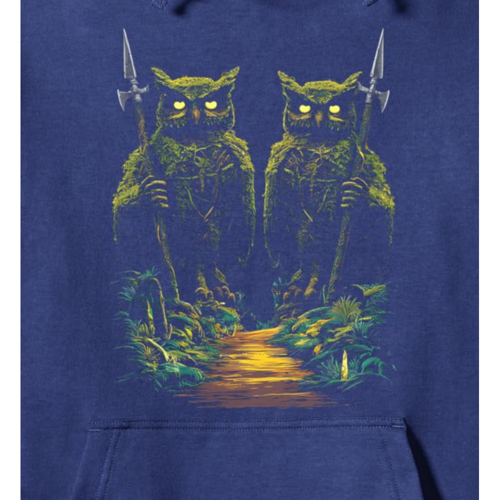 Hoodie for Mens Womens Owl Lover Birdwatching Birder Gift Funny Forest Guardian Pullover Hoodie Graphic Hoodies sweatshirt Pullover Long Sleeve