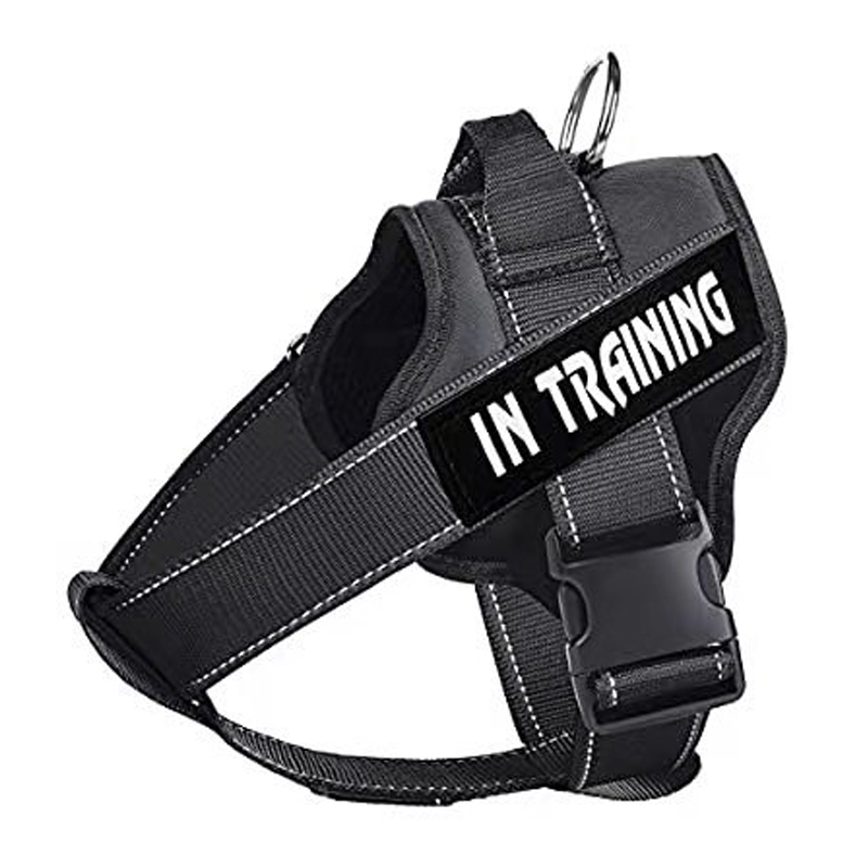 Dog Harness Vest Customized Reflective Breathable Adjustable Pet Harness For Dog Pet Outdoor Harness