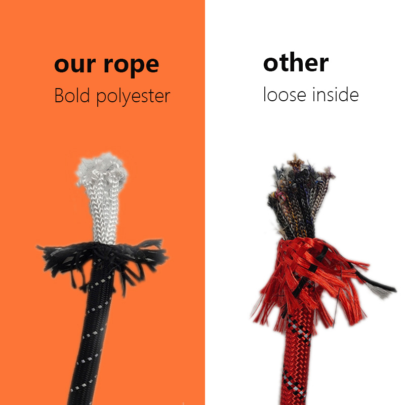 Dog Leash Long Lead Training Tracking Line Comfortable Handle Heavy Duty Floatable Dog Rope 6m/10m for Small Medium Large Dogs