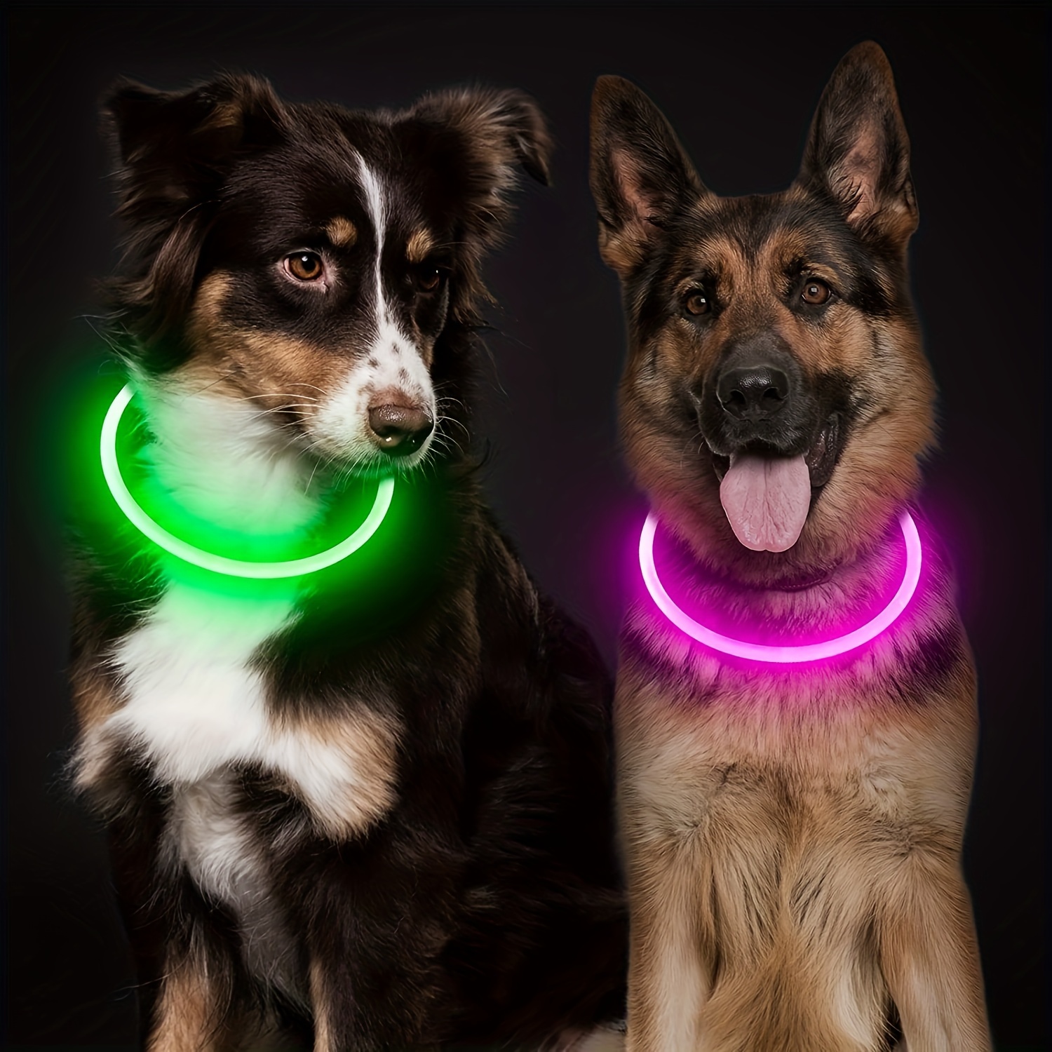Pet LED Light Luminous Anti-Lost USB Rechargeable Dog Necklace Collar