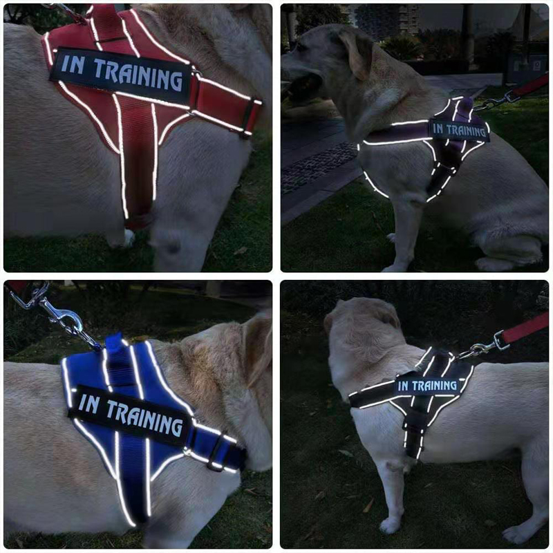 Dog Harness Vest Customized Reflective Breathable Adjustable Pet Harness For Dog Pet Outdoor Harness