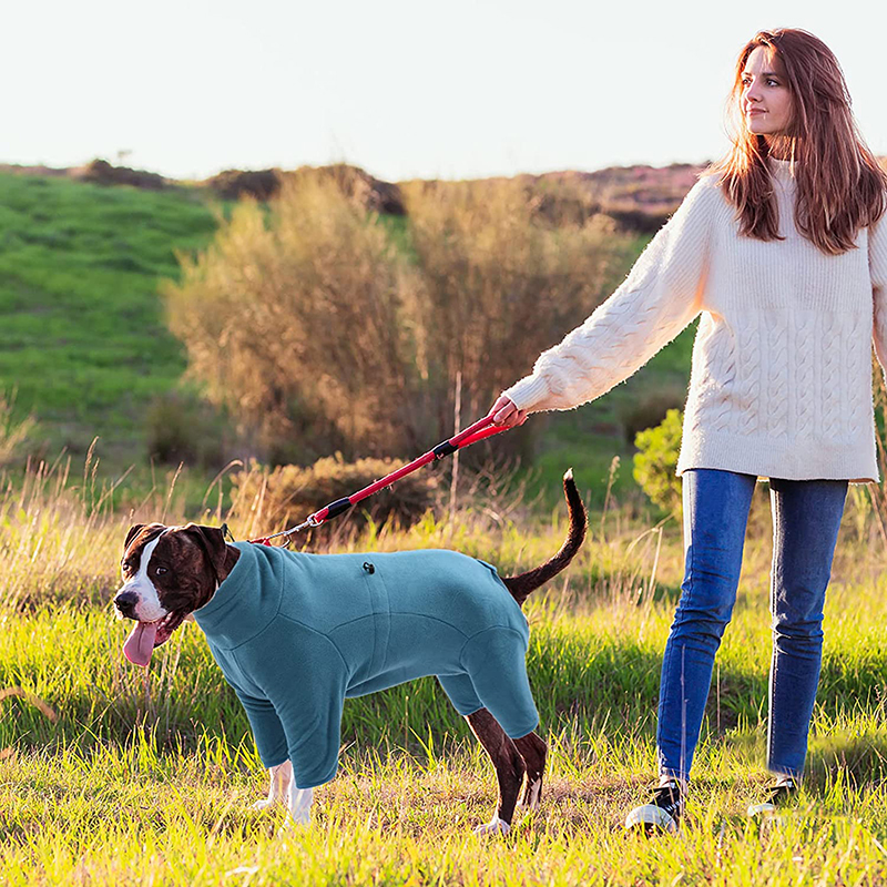 Benepaw Soft Fleece Winter Overalls For Dogs Warm Adjustable Windproof Comfortable Pet Clothes Jacket Coat For Medium Large Dogs