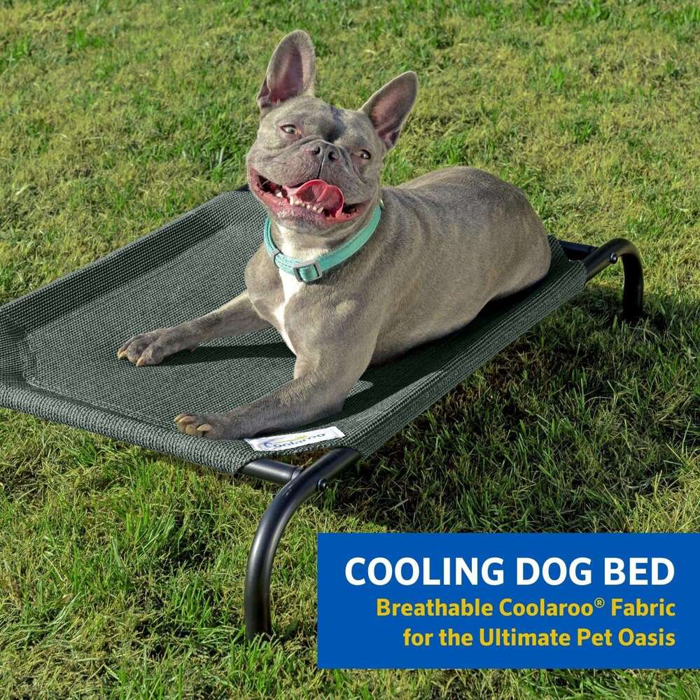 Elevated pet bed Small Calming Dogs Bed for Small Dogs Anti-Anxiety Machine Washable Fluffy Luxury Anti Slip Waterproof Mute Base Warming Cozy Soft Pe