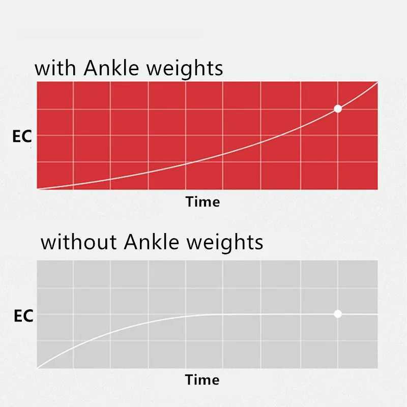 1 Pair Adjustable Ankle Weights Brace Strap with Weight Block Running Walking Crossfit Weight Gym Exercise Training Equipment Y240913