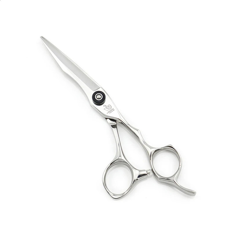Hair Cutting Scissors 5.5 INCH 6 INCH Hair Shears F21 Hair Cutting Shears Hairdressing Scissors Lyrebird HIGH CLASS 240903