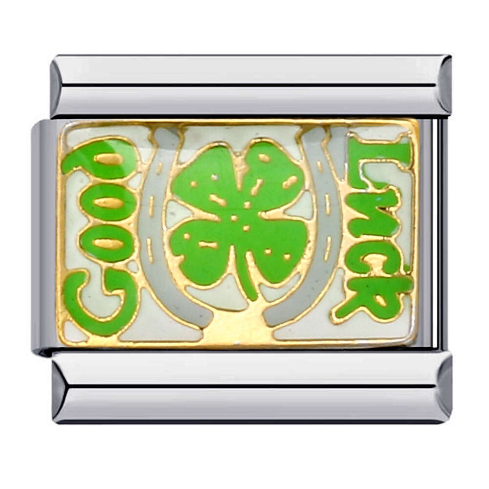 Titanium Steel Gold Plated Italian Personalized Enamel Welding Pattern Bracelet Italian Charm Links Stainless Steel Fit 9mm Bracelet Jewelry DIY Makin