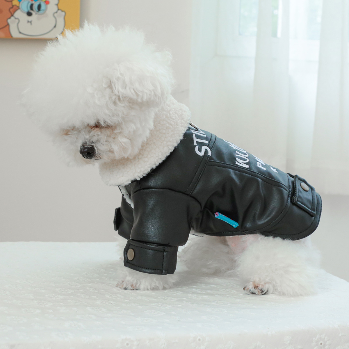 1PC pet clothing for cats in autumn and winter, with thick and warm black fur coat, suitable for small and medium-sized dogs