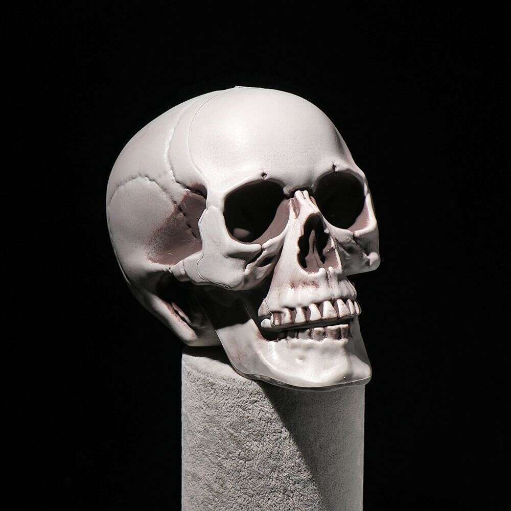 Halloween All Size Human Head Skeleton Hanging Skull Style Photo Prop Home Festival Event Party Decoration Game Supplies