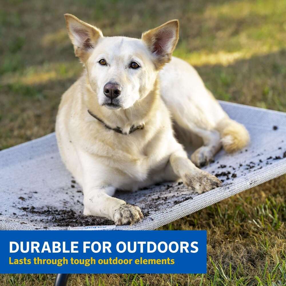 Elevated pet bed Small Calming Dogs Bed for Small Dogs Anti-Anxiety Machine Washable Fluffy Luxury Anti Slip Waterproof Mute Base Warming Cozy Soft Pe