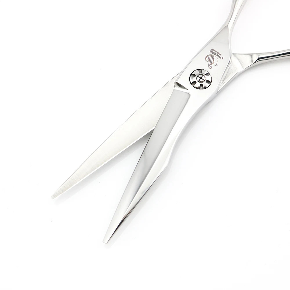 Hair Cutting Scissors 5.5 INCH 6 INCH Hair Shears F21 Hair Cutting Shears Hairdressing Scissors Lyrebird HIGH CLASS 240903