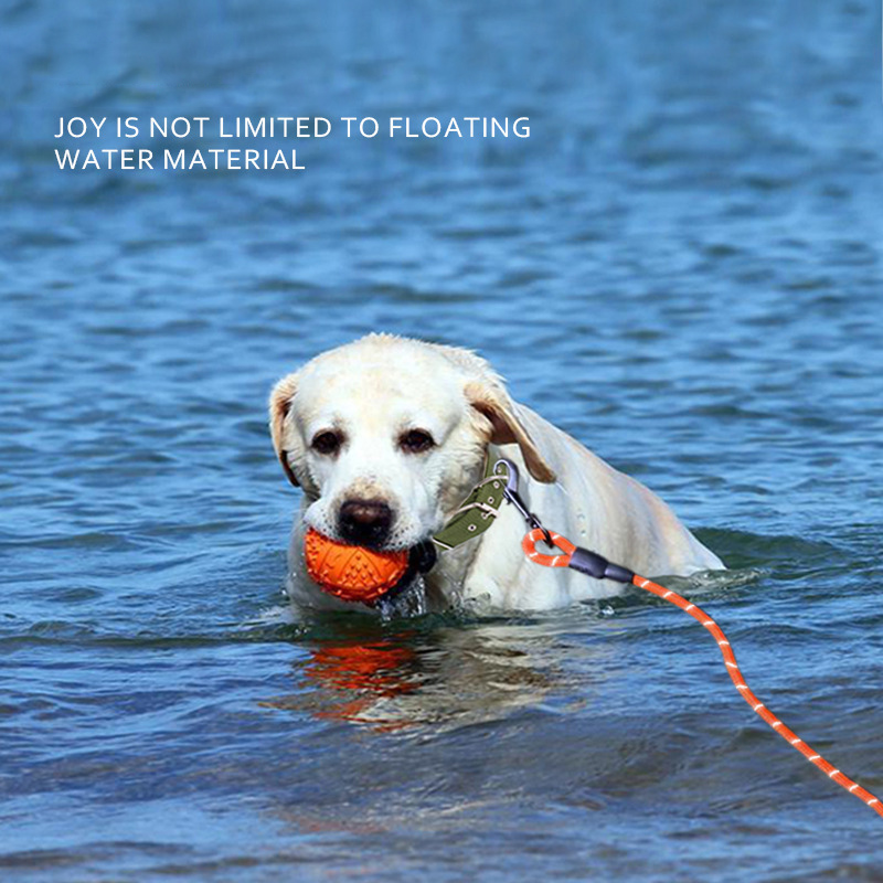 Dog Leash Long Lead Training Tracking Line Comfortable Handle Heavy Duty Floatable Dog Rope 6m/10m for Small Medium Large Dogs