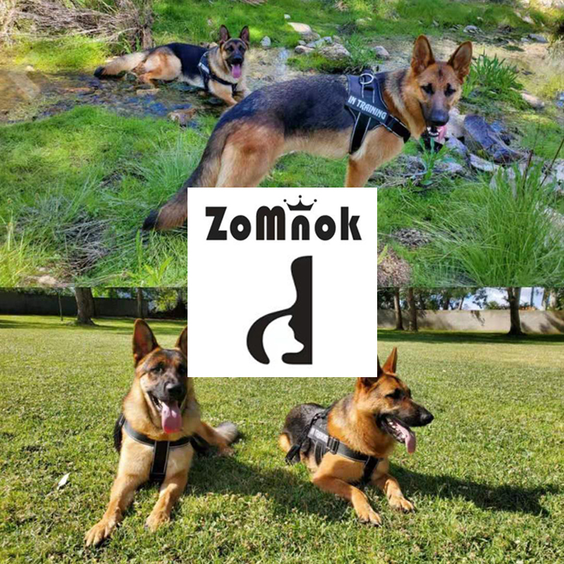 Dog Harness Vest Customized Reflective Breathable Adjustable Pet Harness For Dog Pet Outdoor Harness