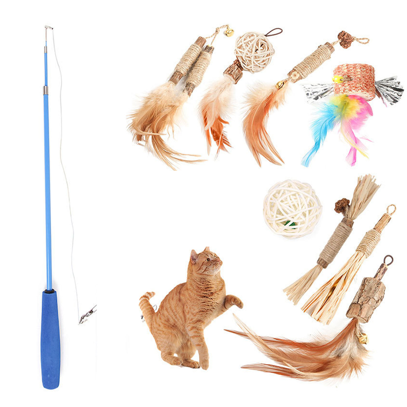Cat Toys 6 Replacement Heads Retractable Interactive Eco Friendly Lightweight Easy To Store Cat Teaser For Indoor