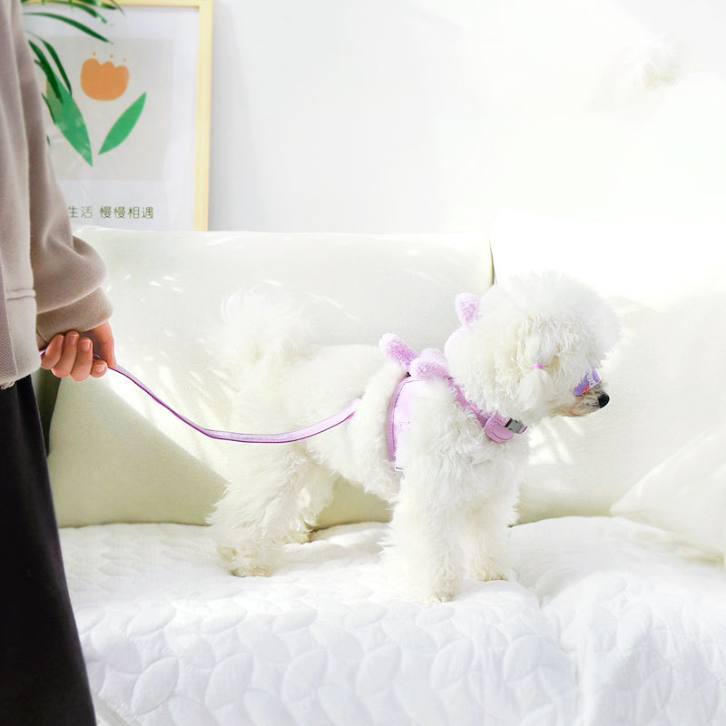 Vest Style Dog Harness and Leash Set,Dog Walking Leash Pet Harness with Cute Rabbit Decoration Small Dog Teddy Bear Cat Supplies