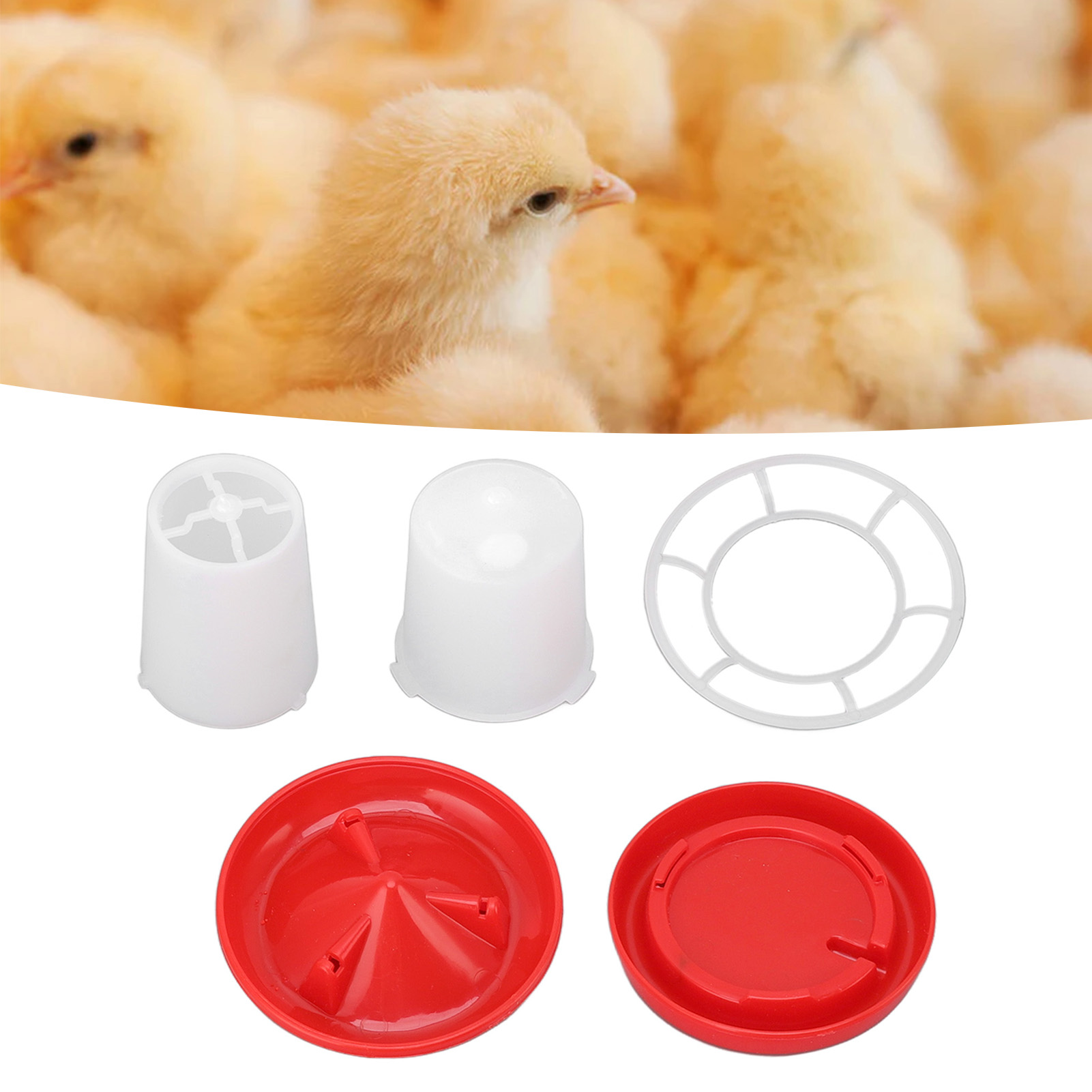 Chick Feeder And Waterer Kit Rotary Sleeve Design Automatic Feeding And Watering Poultry Feeder And Waterer Combo