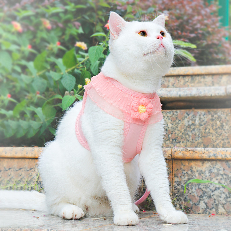Dog Harness and Leash Set Mesh Pet Harness with 120cm Leash and Flower Lace Decoration Suitable for Cats and Puppies Accessories