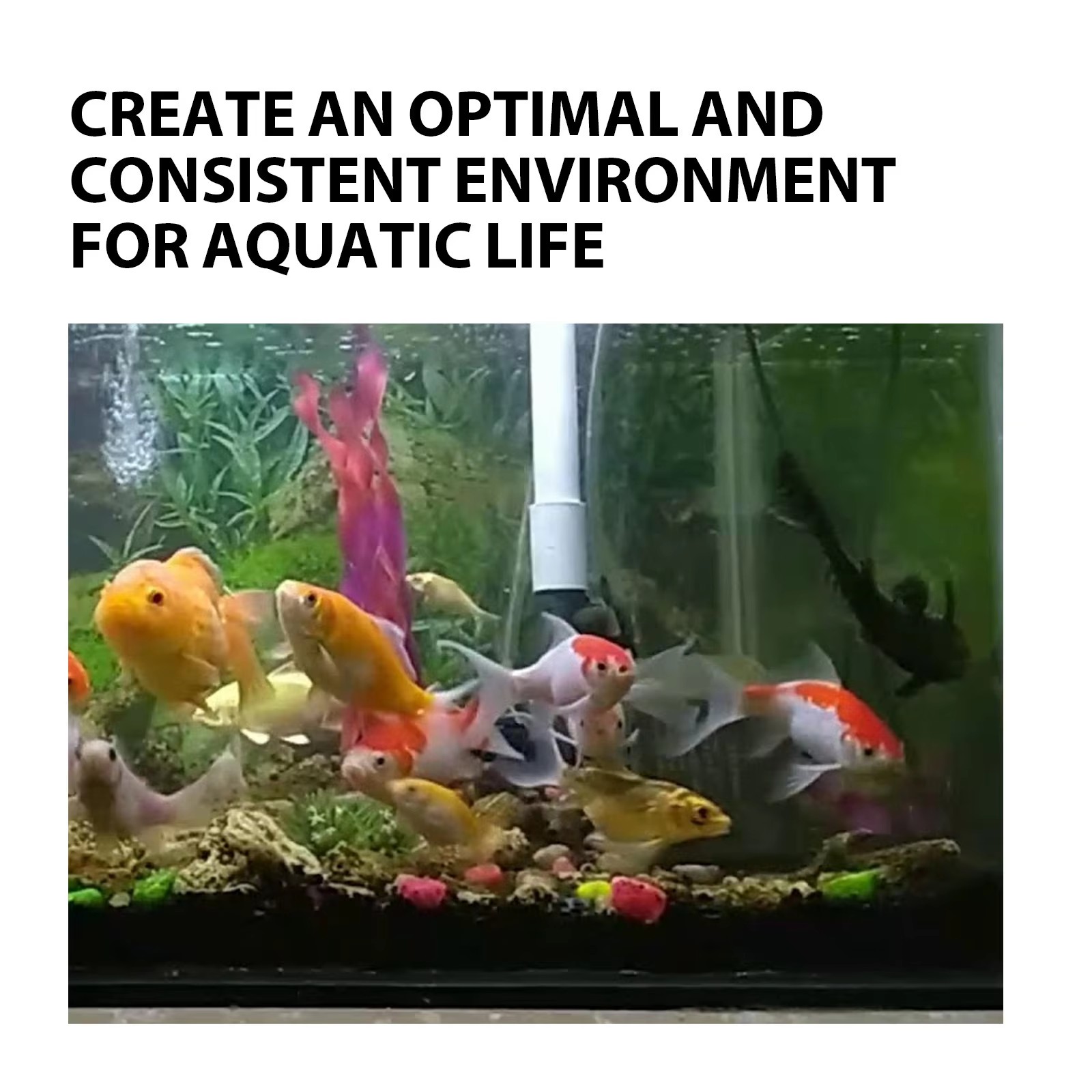 Algae Removal Tablet Fish Tank Moss Remover Water Tank Purifier Tank Pond Cleaning Antibacterial Algaecide Aquarium Detergent