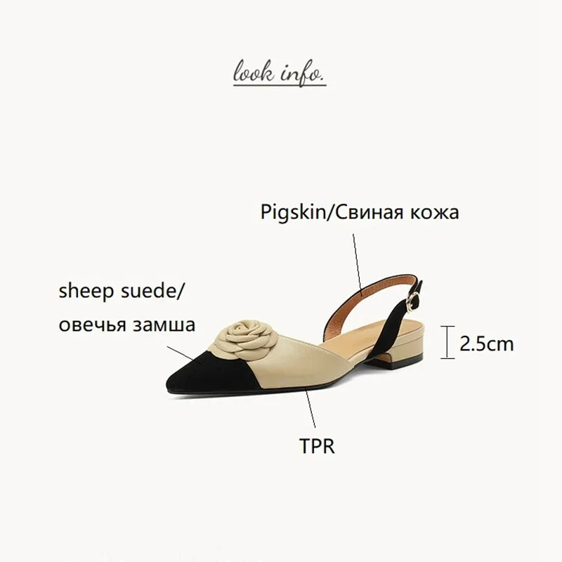 2024 NEW Summer Camellia sinensis Women Shoes Pointed Toe Women Sandals Chunky Heel Shoes for Women Low Heels Plus Size