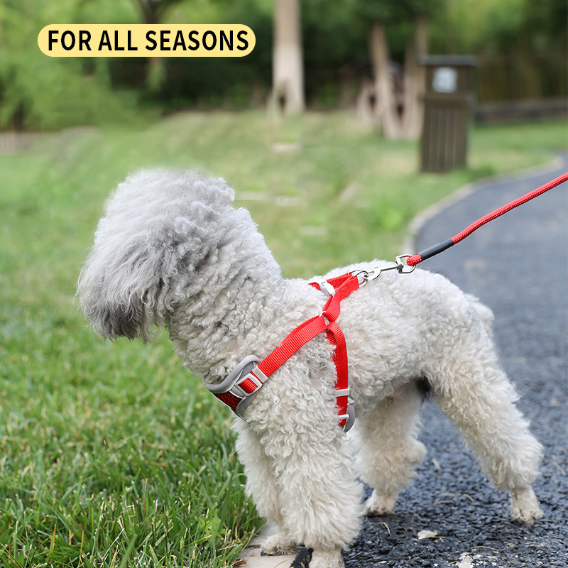 Pet Harness and Leash Set Adjustable Mesh Vest-style Cat Harness & Comfortable Foam Handle Leash for Cat Puppy Running Training