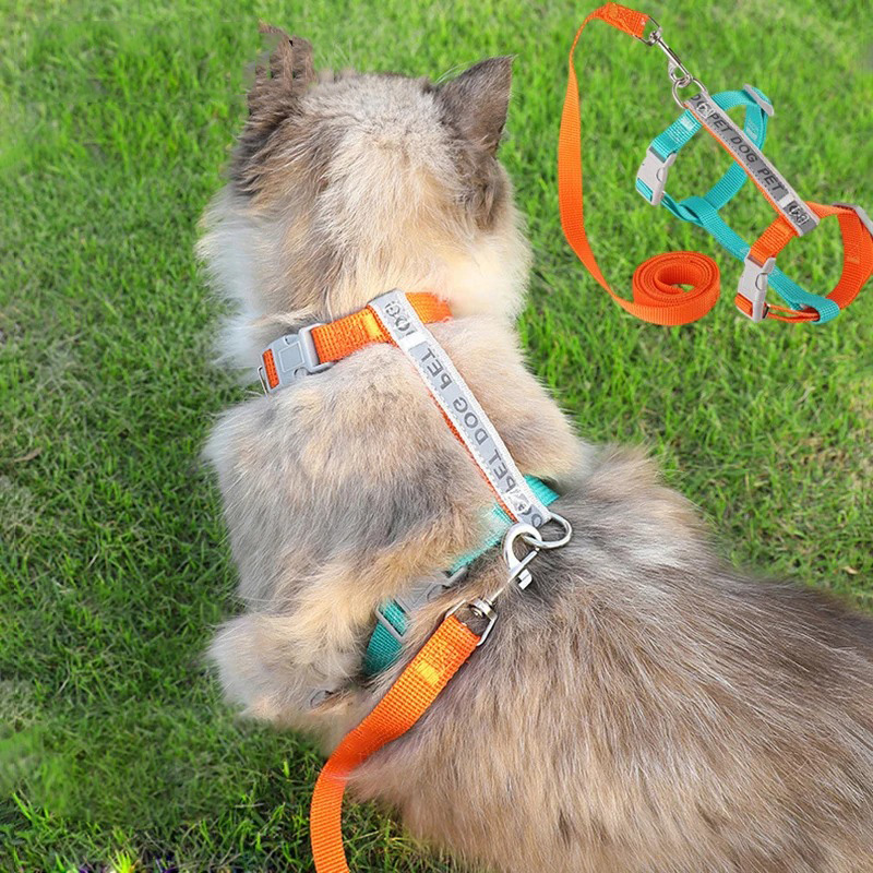 Small Dog Harness & Leash Set,No Pull Dog Harness Step-in Adjustable Reflective,Pet Harness for Puppy Training Outdoor Walking