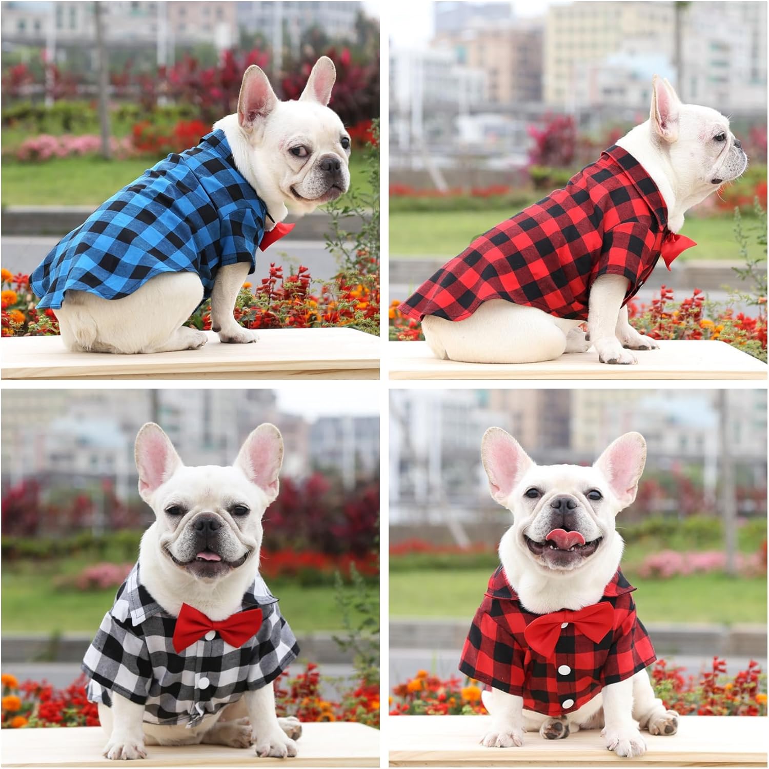 Puppy Cat Cute Shirt Plaid Dog Shirts for Extra Small Dogs Cats Birthday Party Holiday(Red, Blue and White) Free shipping