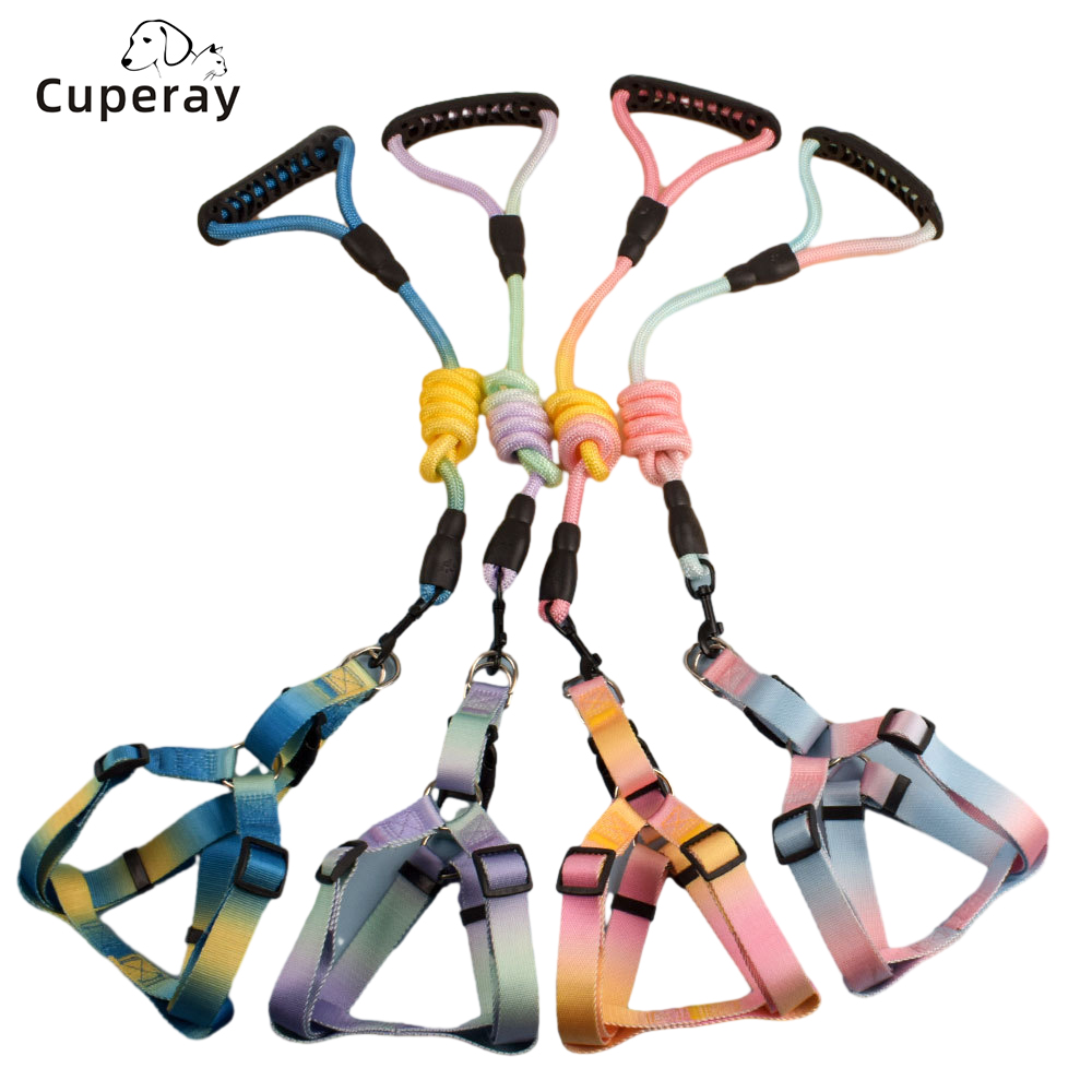 Ombre Colorblock Adjustable Dog Harness and Leashes Set-Double D Ring for Puppy Cats Small Medium Dogs Outdoor Training Running