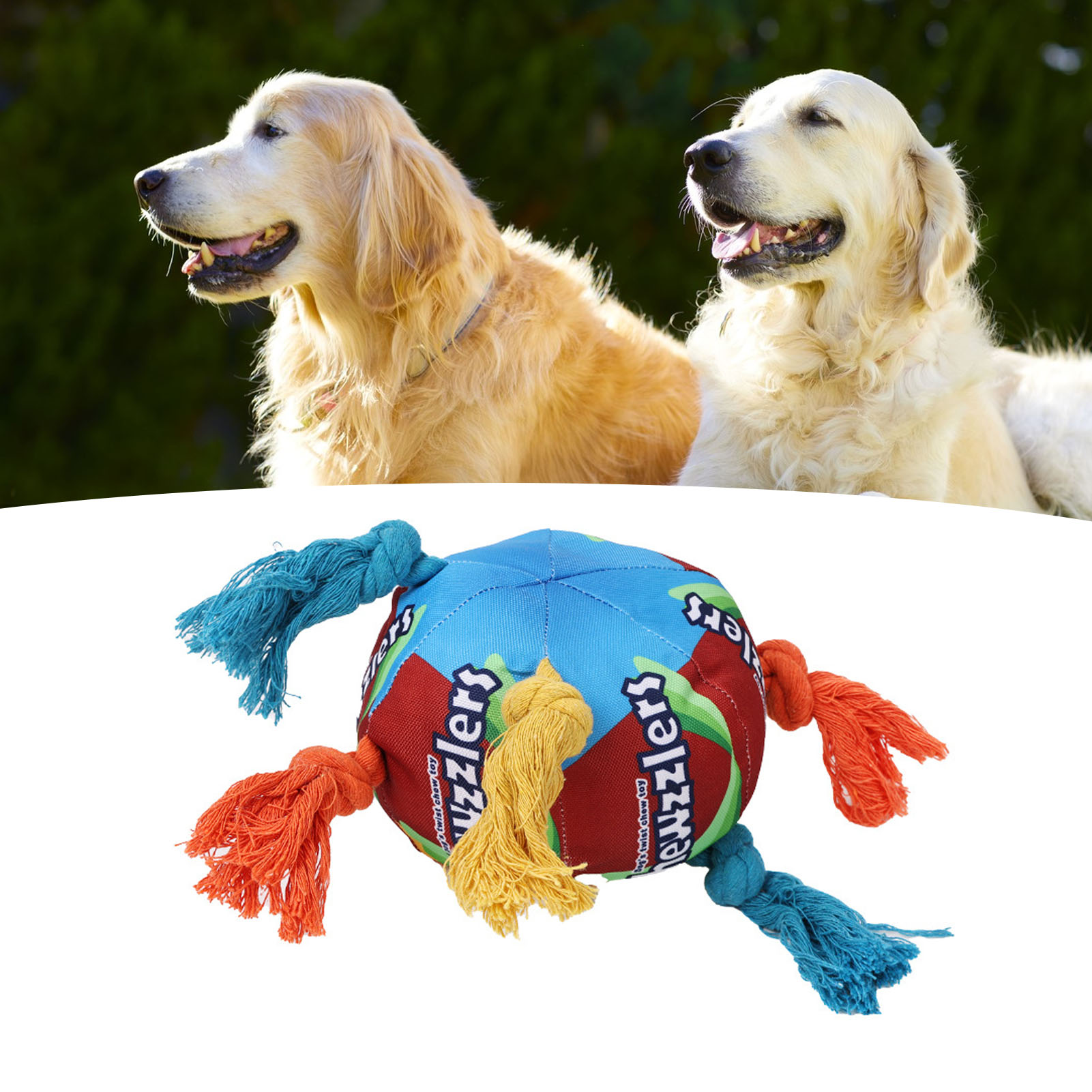 Dogs Sniffing Ball Fun Interactive Colorful Squeaky Bite Resistance Pet Toy Ball For Pets Dogs Cats