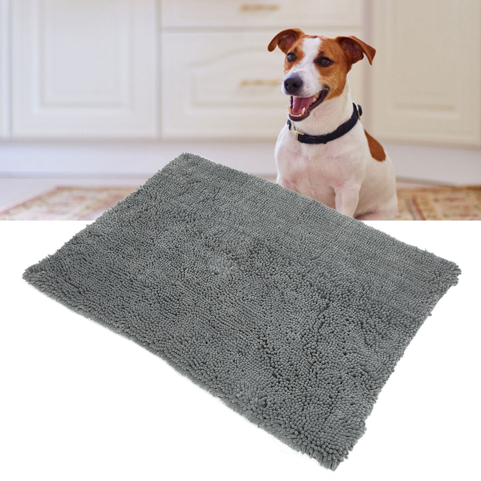 Dog Chenille Mud Mat Soft Water Absorption Slip Resistant Bottom Doormat For Indoor