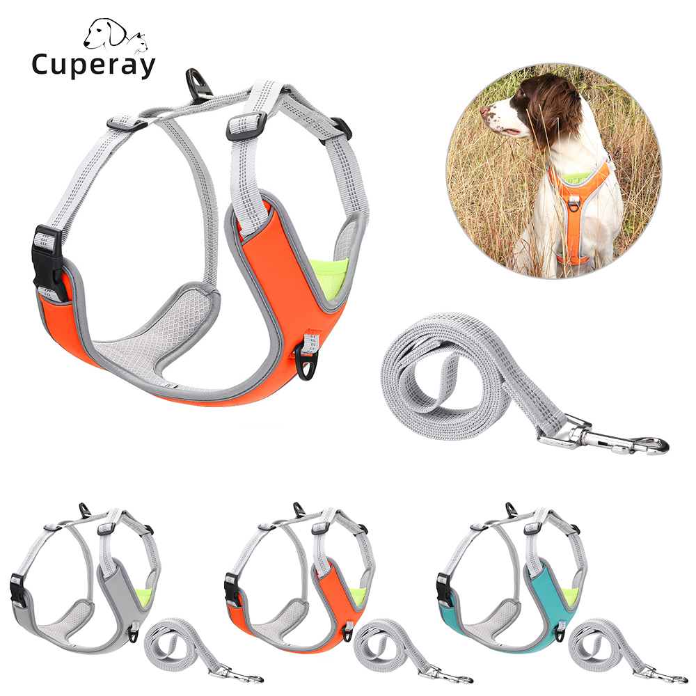 Reflective Dog Harness and Leash Set, Vest Style Adjustable Blast Proof Design Dogs Harness for Medium and Large Dogs Outdoors