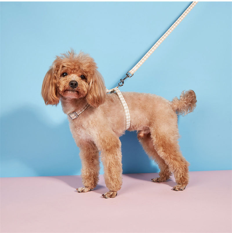 Cat Harness and Leash Set Escape Proof for Walking,Kitten Soft Adjustable Vest Harnesses for Small Medium Dogs Cats,Easy Control