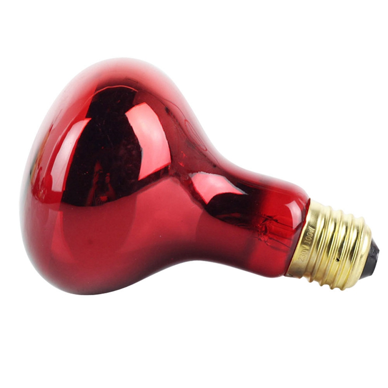 100W 4Pack Infrared Heat Lamp Bulb Red Light Heat Bulbs For Pet Lizards Bearded Dragons Chameleons Snakes Reptiles 220V