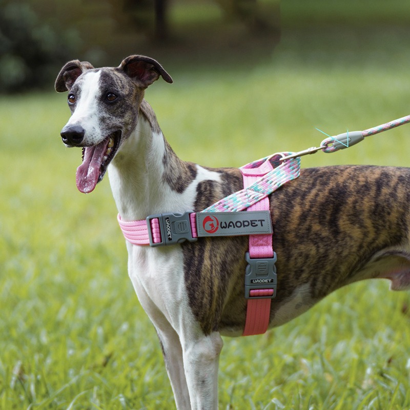 Dog Harness for Small Medium Pets Outdoor Walking Training Breathable Puppy Harness No Pull Quick Release Pet Safety Supplies