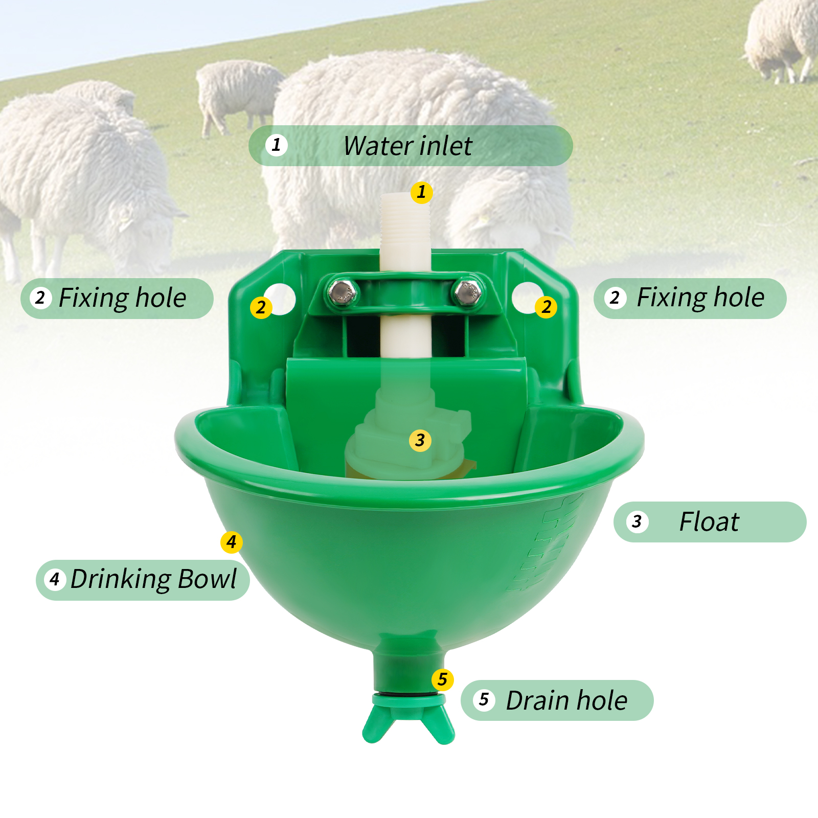 Automatic Sheep Drinker Bowl With Valve Quality Water Fountain Cattle Sheep Drinker Equipment Drinking Tool