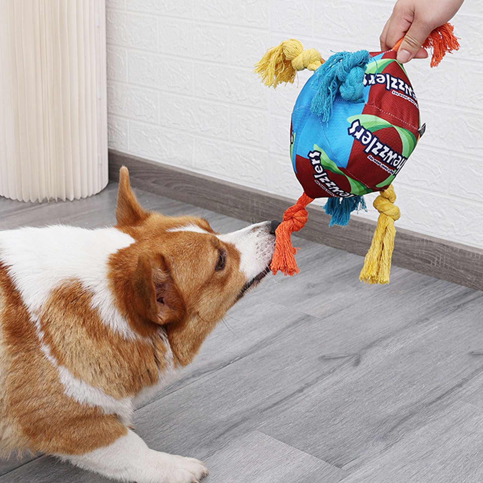 Dogs Sniffing Ball Fun Interactive Colorful Squeaky Bite Resistance Pet Toy Ball For Pets Dogs Cats