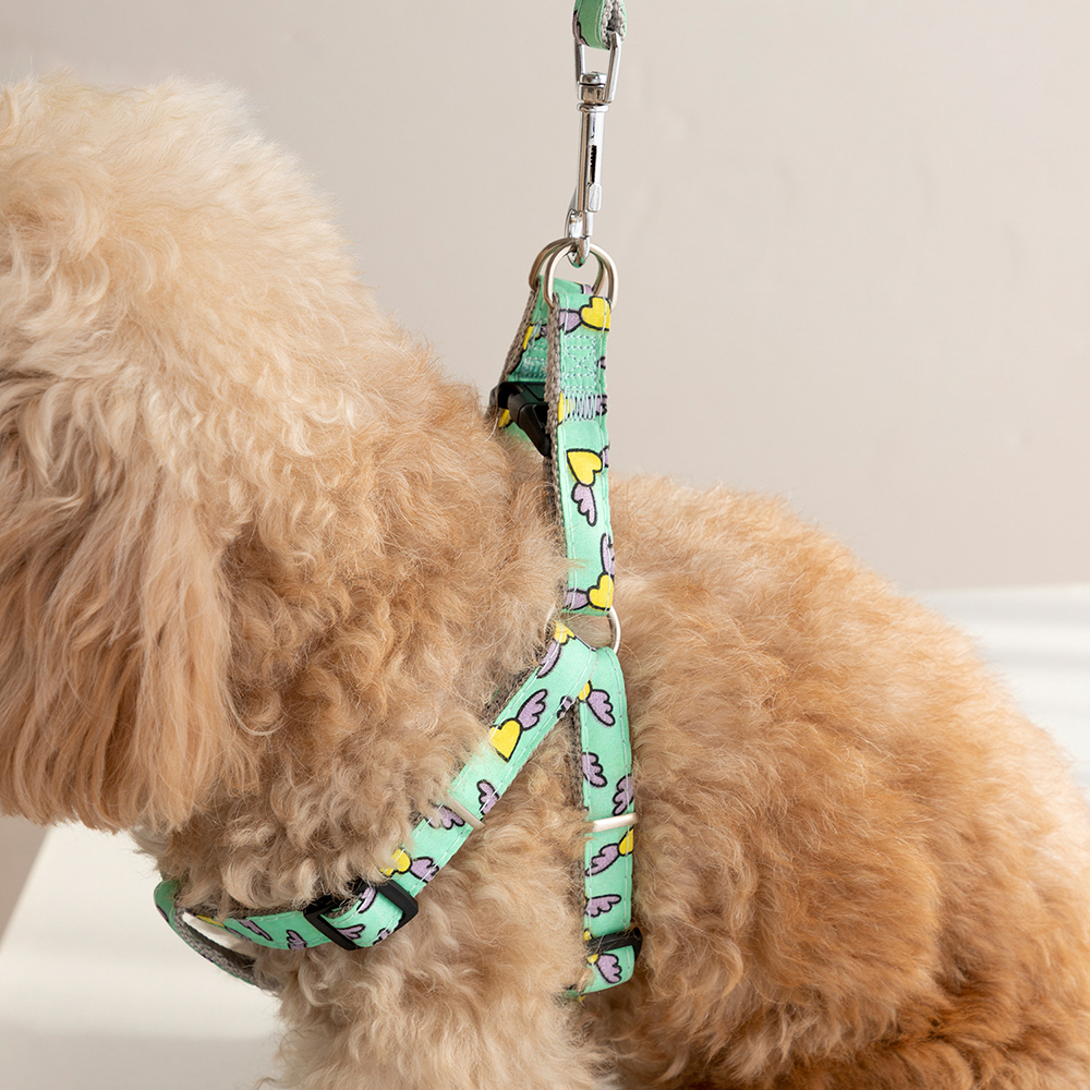 Pet Leash and Harness Set To Prevent Breakaway Cat Leash Comfortable Not Strangulation Adjustable for Cats and Puppies Supplies