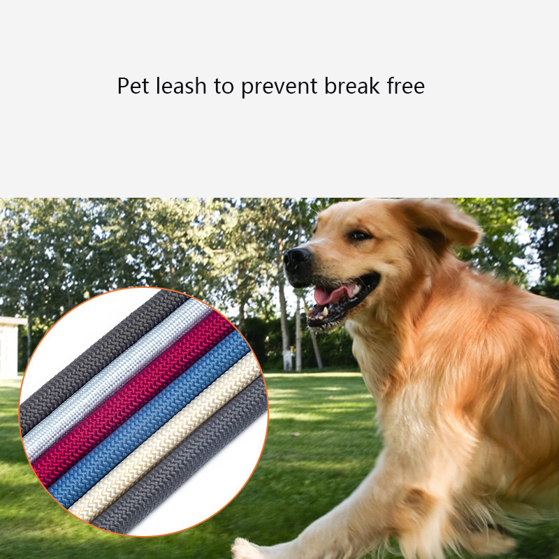 Nylon Medium and Large Dog Leash P Chain Rubber Handle Traction Belt Explosion-proof Punch Walking Dog Leash Pet Accessories