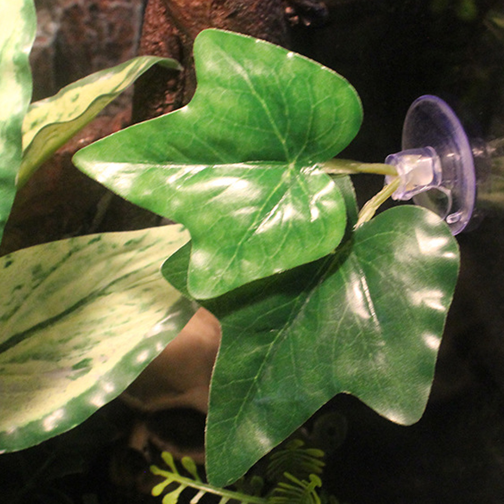 Betta Fish Leaf Pad Simulating Colorfast Odorless Fish Hammock Resting Leaf With Suction Cup For Habitat Tank Decor