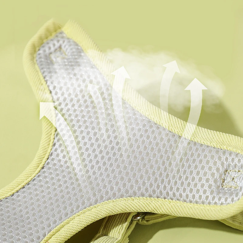 Pet Harness and Leash Set Small Daisy Embroidered Cat Harness with 120cm Walking Leash for Small and Medium Dogs Outing Supplies