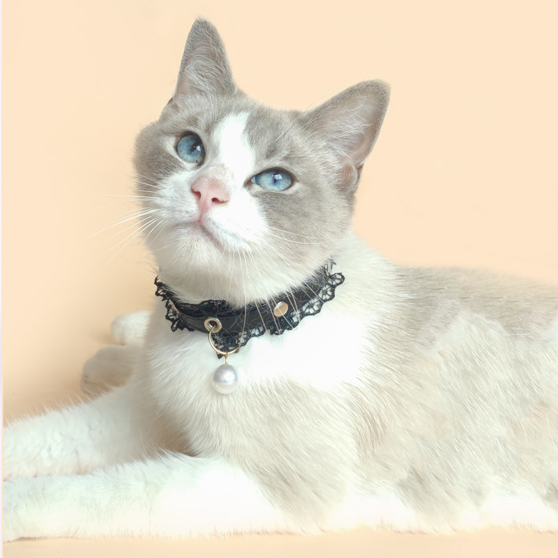 PU Leather Pet Collar Imitation Pearl Charm Cat Collar Faux Leather Pet Collar with Lace Trim Pet Collar for Cats and Small Dogs
