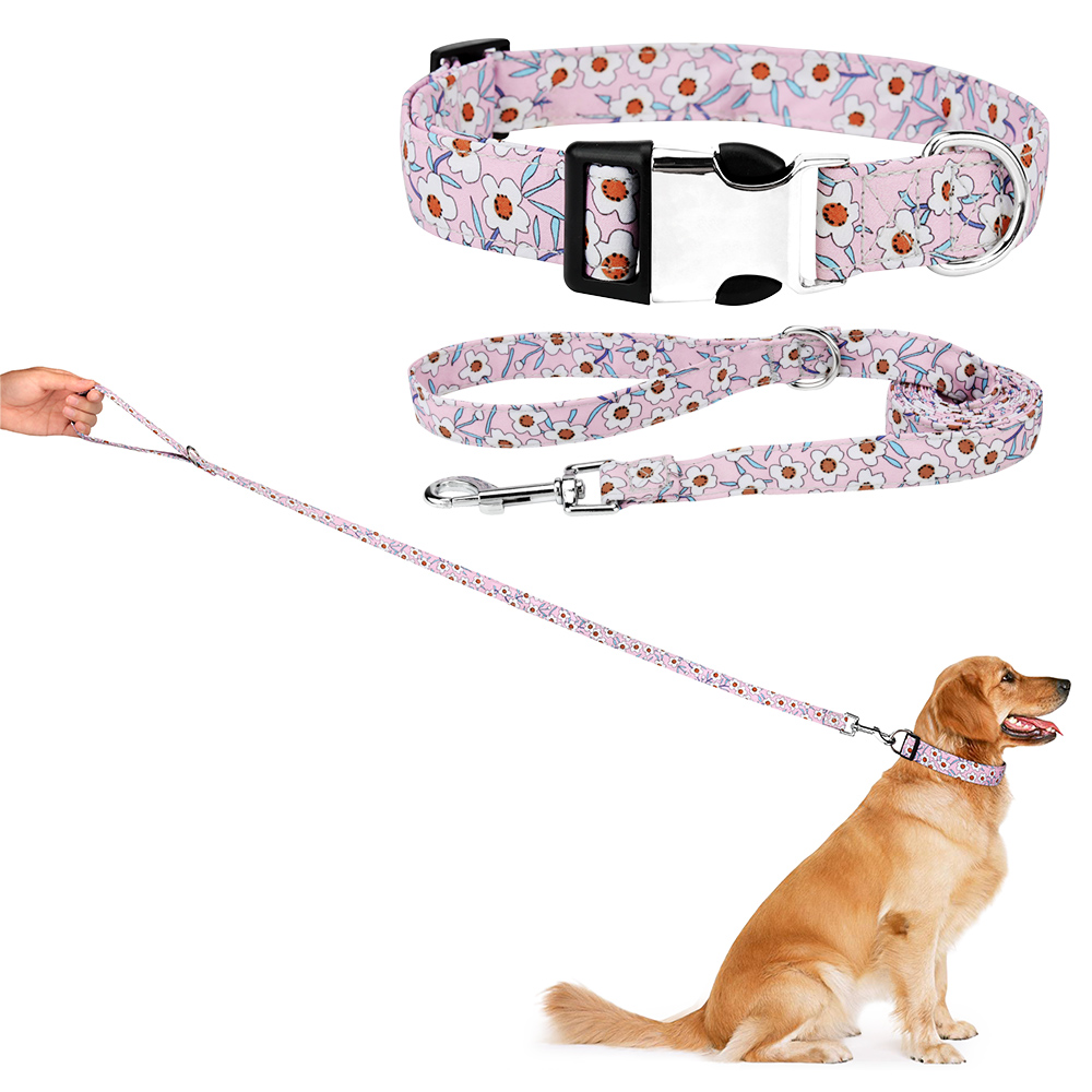 Dog Collar and Leash Set for Daily Outdoor Walking Running Training, Floral Spring Design for Small Medium Large Dogs Cats Pets