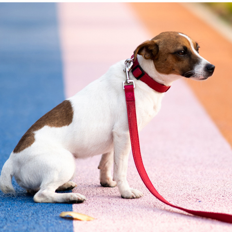 Dog Collar, Soft Neoprene Padded Breathable Nylon Pet Collar Adjustable with Quick Release Buckle for Small,Medium Large Dogs