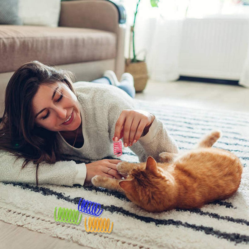 12Pcs Interactive Cat Toys, Colorful Spring Cat Toy Plastic Coil Spiral Springs Toys For Cat Kitten Pets Novelty Gift