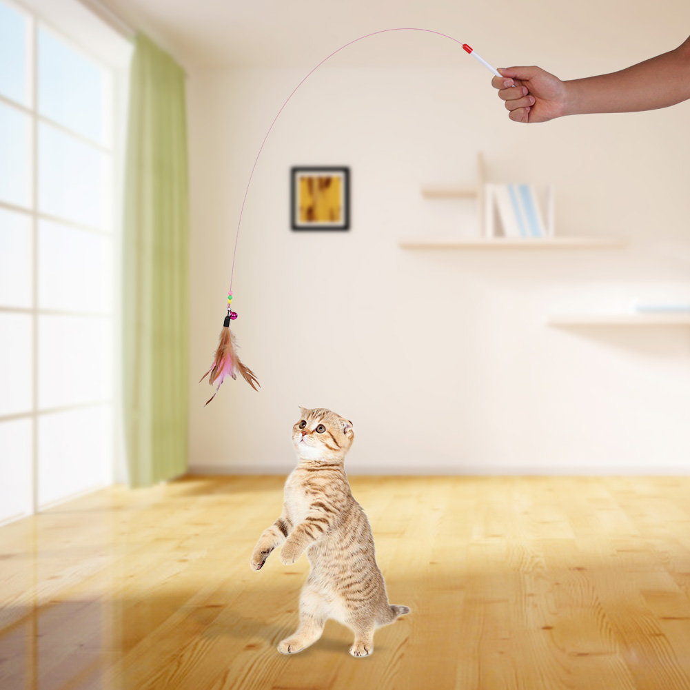 Feather Wire Chaser for Cat and Kitten, Funny Pet Play Toy, Wand Beads