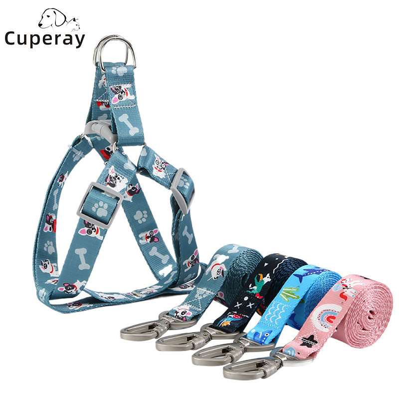 Adjustable Vest Style Dog Harness with Matching Leash To Prevent Breaking Loose Pet Harness and Leash Set for Cats and Puppies