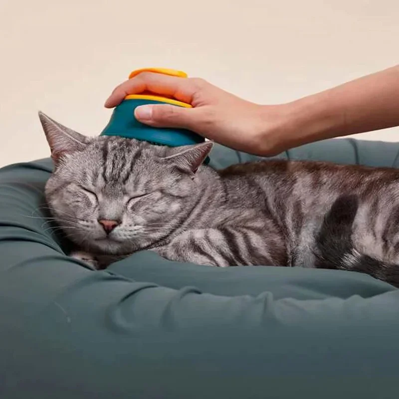 Pet dog comb, Hair brush, Cat brush, Small and medium-sized dog hair removal brush, Dog hair products