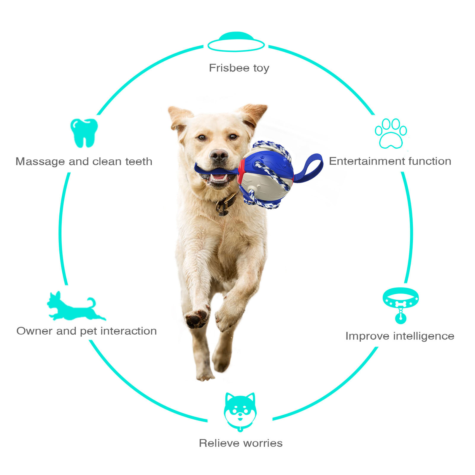 Interactive Dog Toy Portable Multifunctional Entertaining Outdoor Dog Training Toy For Puppy Small Big Dogs