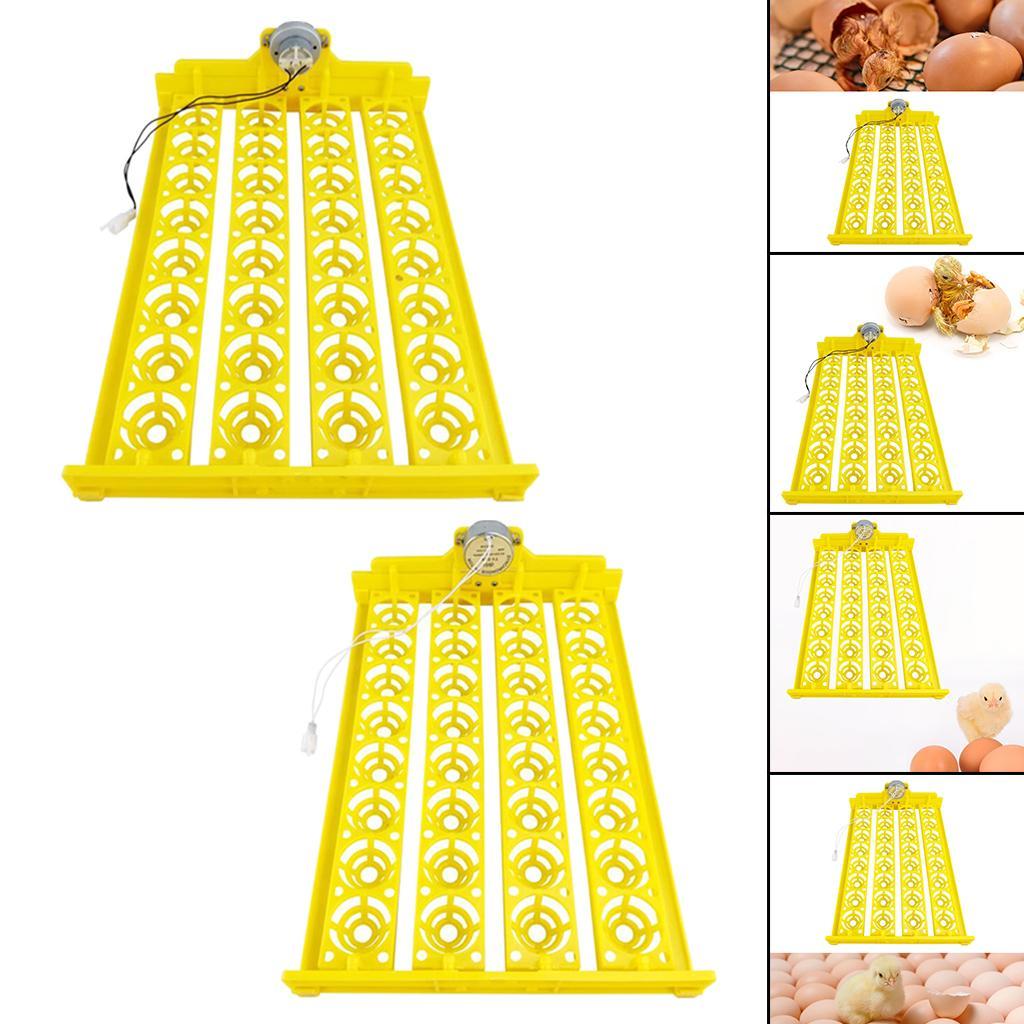 Egg Incubator Automatic Egg Turner Egg Hatcher 32 Eggs Temperature Control Poultry for Chicken Goose Duck Quail Supplies