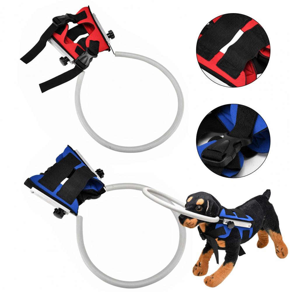 Excellent Pet Protective Halos 2 Colors Anti-collision Ring Reusable Avoid Accidents Blind Puppy Protective Collar Ring