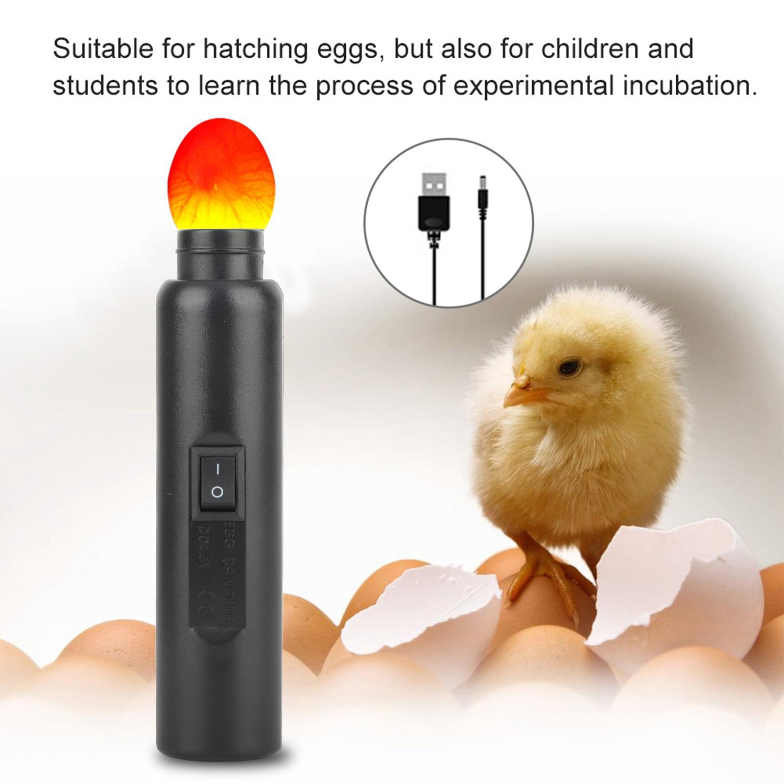 LED Light Egg Candler Tester Auto Mini Lighting Incubator For Experiment Exclusive