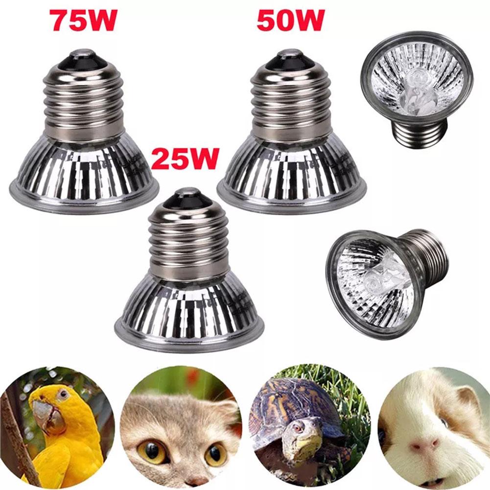 25/50/75w Uva Uvb Reptile Heating Light Bulb Snake Basking Uv Full 1pcs Light Pet Spectrum Heating Bulbs Light K1i2